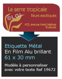 Autocollant & Étiquette Etiquette en métal brillant, Format Rectangle 6,1x3cm 2 coins arrondis - modèle rouge  - (film alu biodégradable, fibre de bois de cellulose) n19672- Livré en rouleau