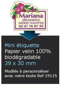 Autocollant & Étiquette Mini Etiquette / autocollant en papier velin mat, Forme rectangle spécial fleur 3,9x3 cm - modèle beige - n19115- Livré en rouleau