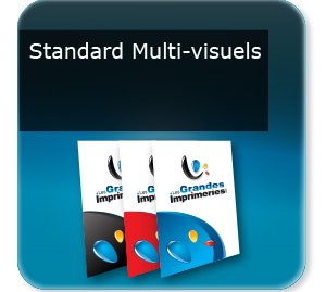 Format A4 - Flyer, Prospectus & Tract Flyer multi  visuels